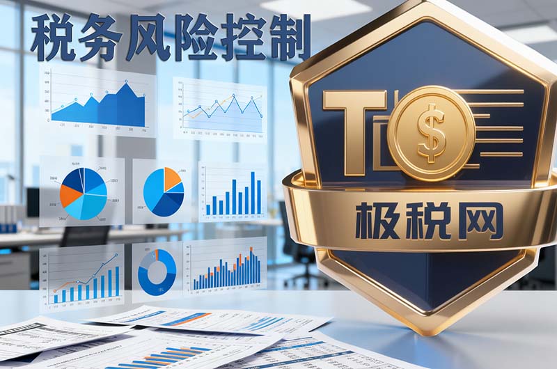 税务风险控制